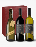 Confezione 3 Bottiglie Prosecco DOC Legatura Frizzante - Refosco IGT - Ribolla Gialla IGT