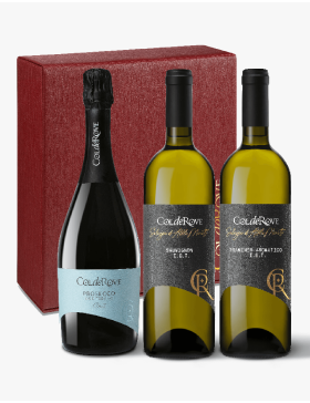 Confezione 3 Bottiglie Prosecco  DOC Brut - Sauvignon  IGT - Traminer Aromatico IGT
