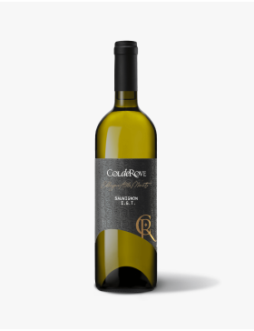 Sauvignon IGT Veneto