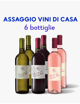 Assaggio Vini Di Casa Mia
