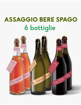 Degustazione Frizzante Bere Spago