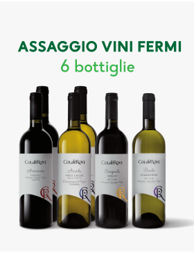 Degustazione Vini Fermi