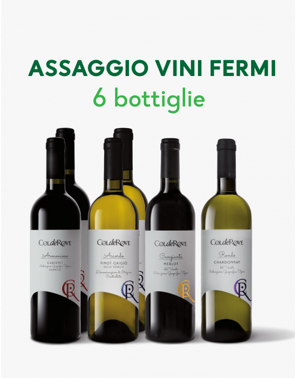 Degustazione Vini Fermi