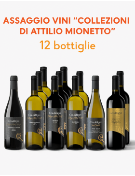 Offerta Collezioni di Attilio Mionetto