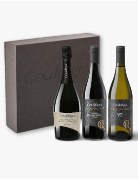 Confezione 3 bottiglie  1 Prosecco Valdobbiadene Superiore DOCG - 1 Amarone della Valpolicella DOCG - 1 Lugana DOC