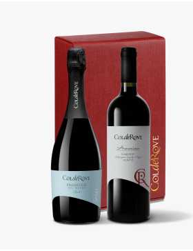 Confezione da 2 bottiglie  1 Prosecco DOC Treviso Brut IGT e 1 Armonioso Cabernet IGT