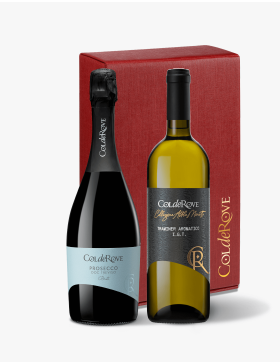 Confezione da 2 bottiglie  1 Traminer Aromatico IGT e Prosecco DOC Treviso Brut