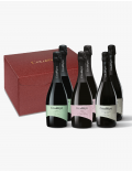 Selezione Spumanti 6 bottiglie