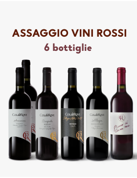 Assaggio Vini Rossi
