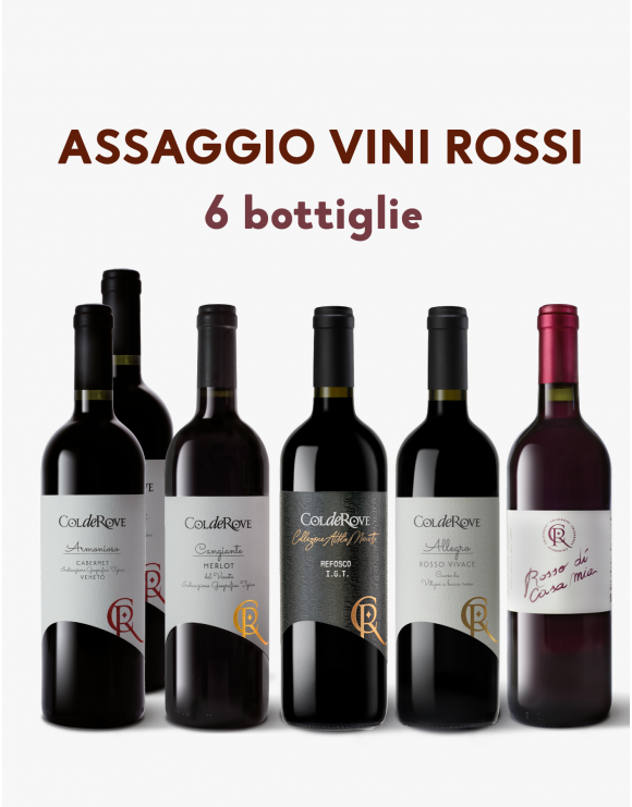 Assaggio Vini Rossi