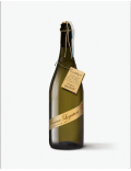 Prosecco DOC Frizzante