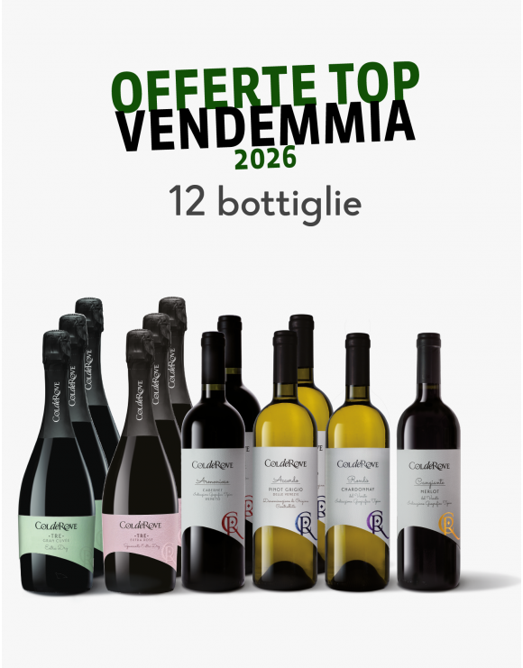 Offerta TOP 12 bottiglie