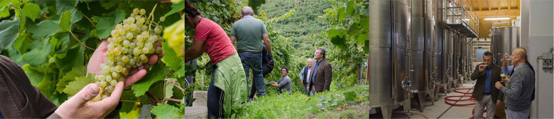 La Gente di Colderove